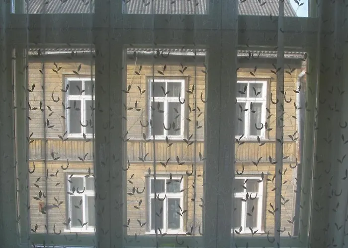 Taehe Maja1 Bed & Breakfast 3*